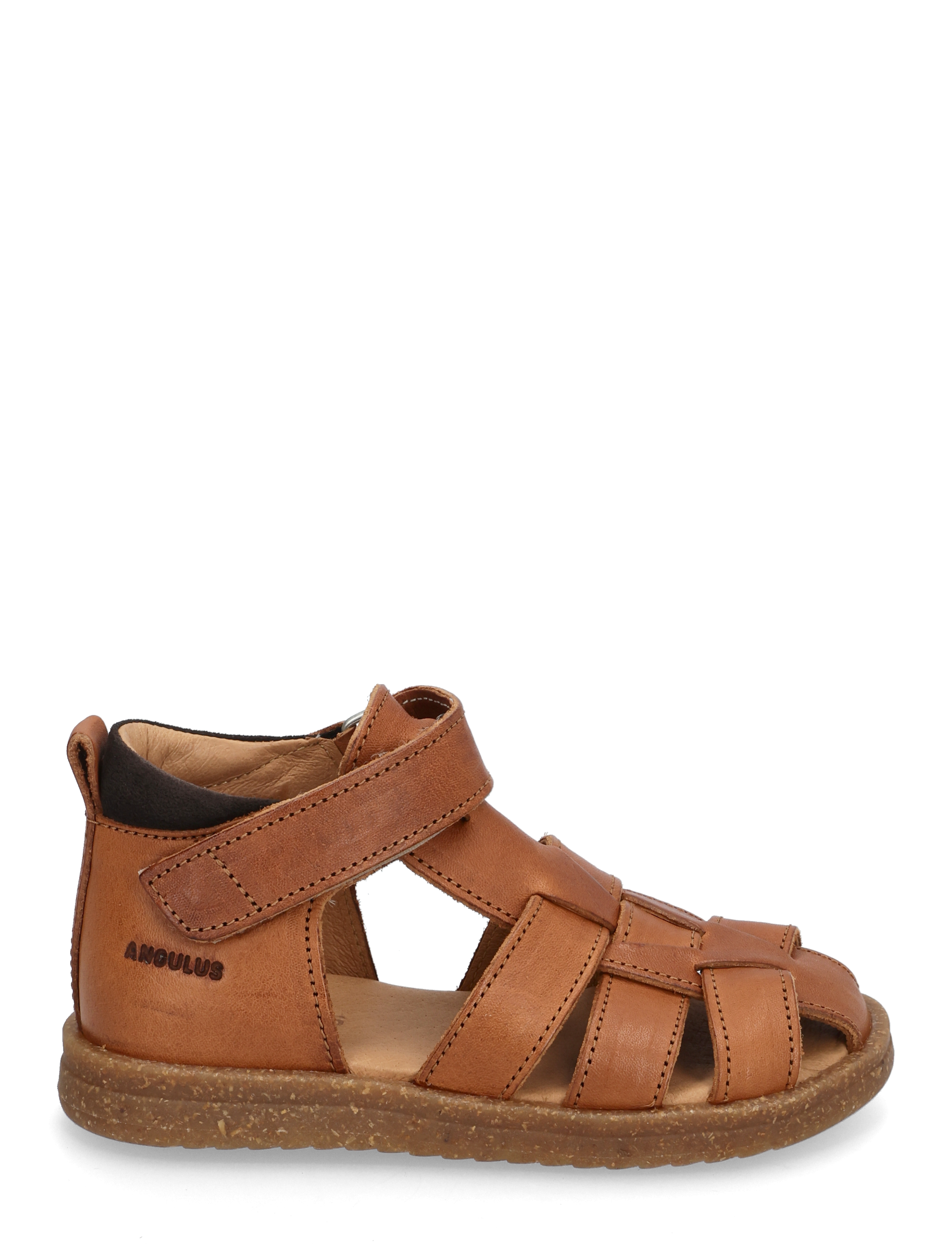 ANGULUS - Sandals - flat  - closed toe - 1545/1779 cognac/dark brown - 2