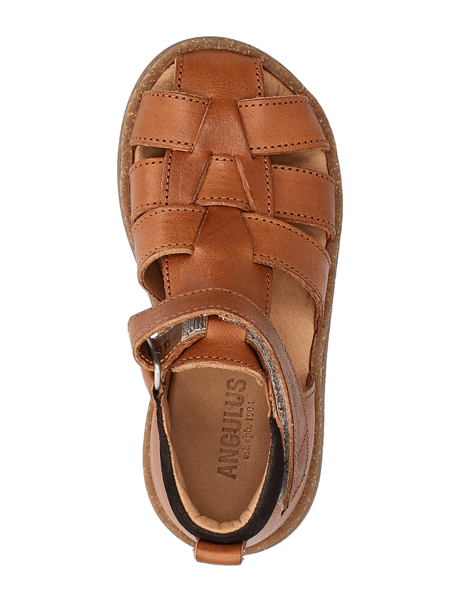 ANGULUS - Sandals - flat - closed toe - schuhe - 1545/1779 cognac/dark brown - 4