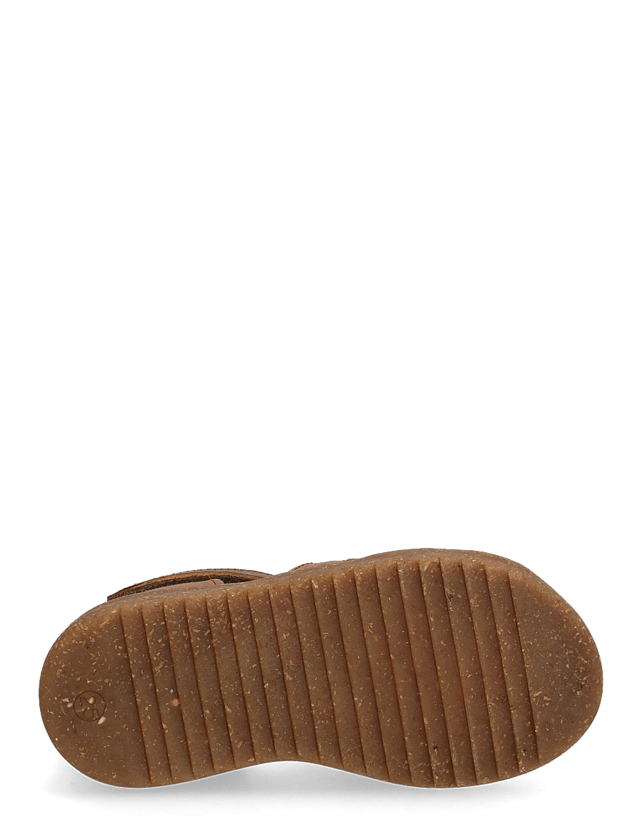 ANGULUS - Sandals - flat - closed toe - kingad - 1545/1779 cognac/dark brown - 5
