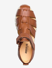 ANGULUS - Sandals - flat - closed toe -  - sandals - 1545 cognac - 3