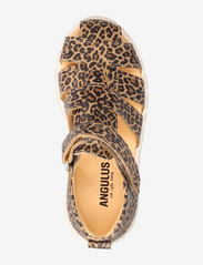 ANGULUS - Sandals - flat - closed toe -  - gode sommertilbud - 2185 leopard - 3