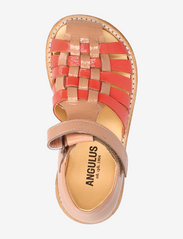 ANGULUS - Sandals - flat - closed toe - - sommerkupp - 1305/1318 d. peach/coral - 3