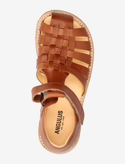 ANGULUS - Sandals - flat - closed toe - - summer savings - 1789 tan - 3