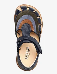 ANGULUS - Sandals - flat - closed toe - - 2585/2244/2242/2219 navy/dark - 3
