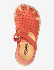 ANGULUS - Sandals - flat - closed toe - - sommerschnäppchen - 1591 coral - 3