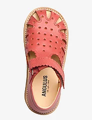 ANGULUS - Sandals - flat - closed toe - - sommerschnäppchen - 1591 coral - 3