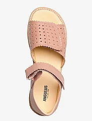 ANGULUS - Sandals - flat - open toe - clo - summer savings - 1470 dark peach - 3