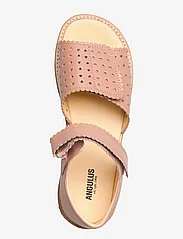 ANGULUS - Sandals - flat - open toe - clo - sommerkupp - 1470 dark peach - 3