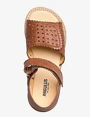 ANGULUS - Sandals - flat - open toe - clo - sommerkupp - 1789 tan - 3