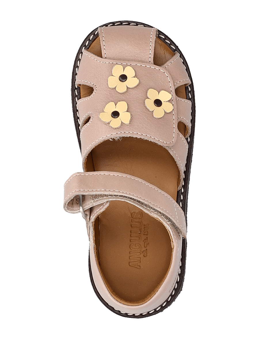 ANGULUS - Sandals - flat - closed toe - schuhe - 3203/2713 rosebud/mellow yello - 3