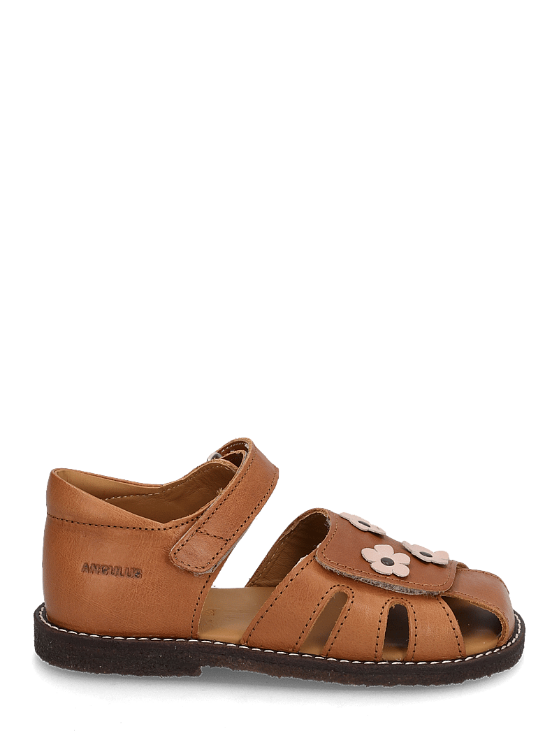 ANGULUS - Sandals - flat - closed toe - sko - 1545/3203 cognac/rosebud - 1