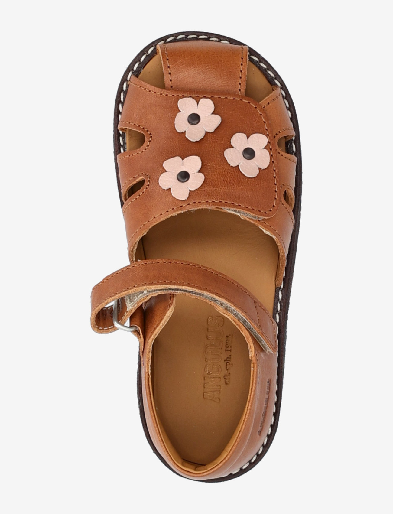 ANGULUS - Sandals - flat  - closed toe - børn - 1545/3203 cognac/rosebud - 3