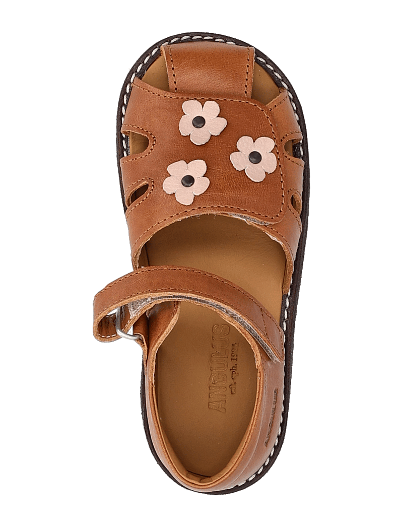 ANGULUS - Sandals - flat - closed toe - sko - 1545/3203 cognac/rosebud - 3