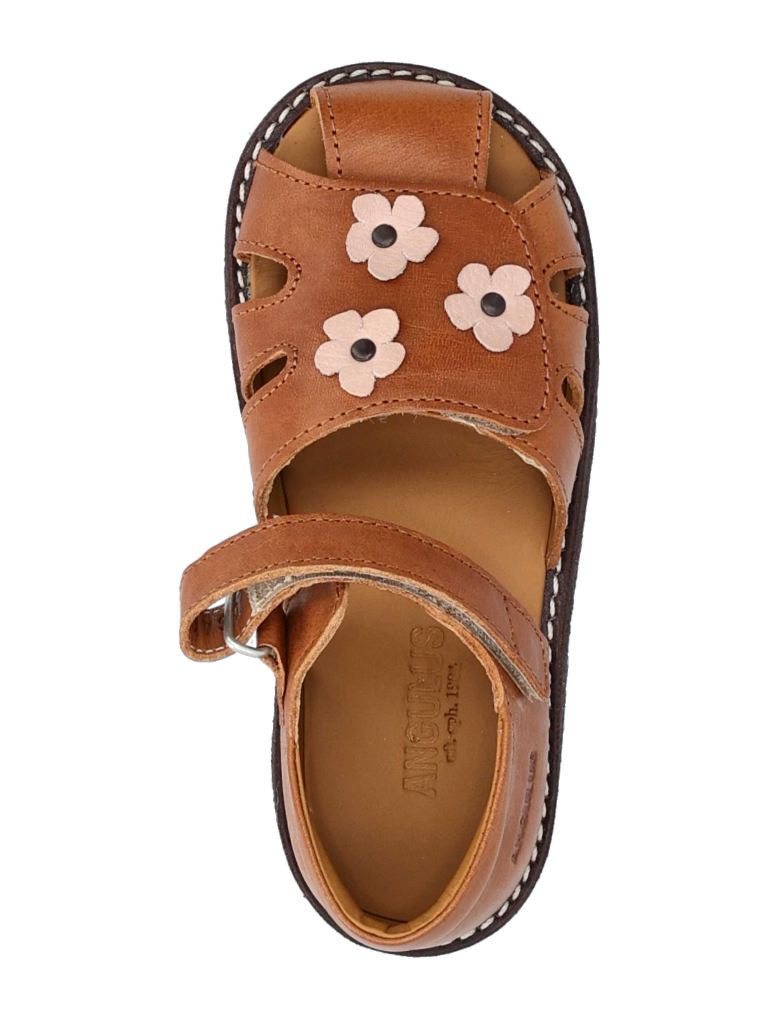 ANGULUS - Sandals - flat - closed toe - skor - 1545/3203 cognac/rosebud - 3