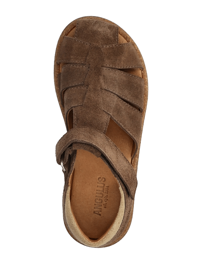 ANGULUS - Sandals - flat - closed toe - sko - 1780/2217 dark taupe/sand - 4