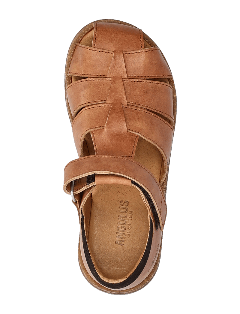 ANGULUS - Sandals - flat - closed toe - skor - 1789/1779 tan/dark brown - 3
