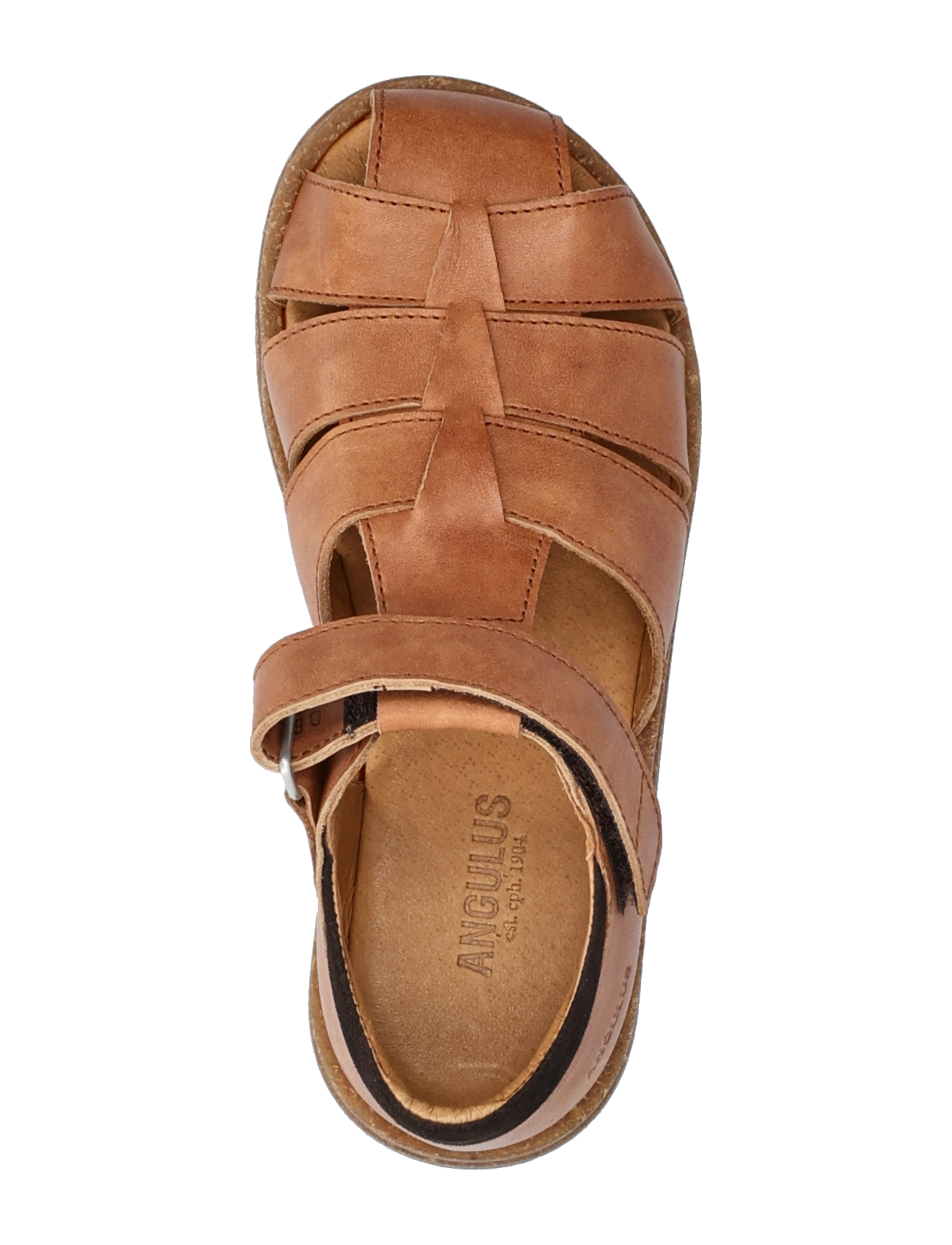 ANGULUS - Sandals - flat - closed toe - skor - 1789/1779 tan/dark brown - 3