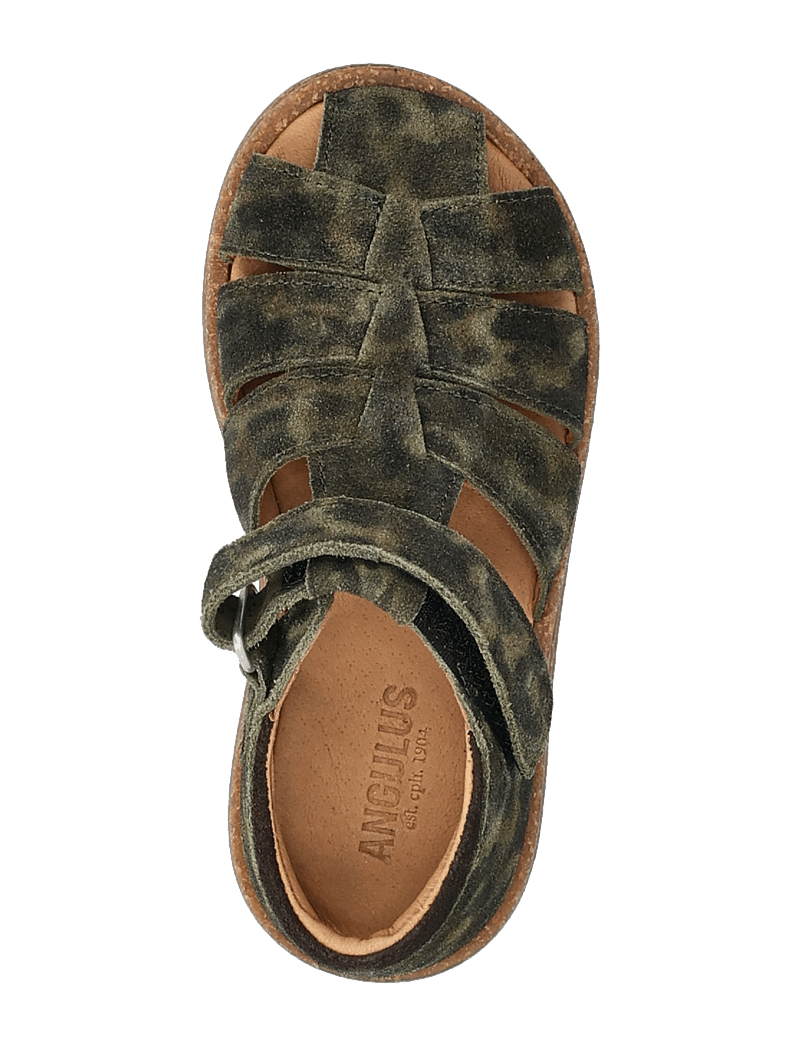 ANGULUS - Sandals - flat - closed toe - sko - 3608/1779 marshland print/dark - 3