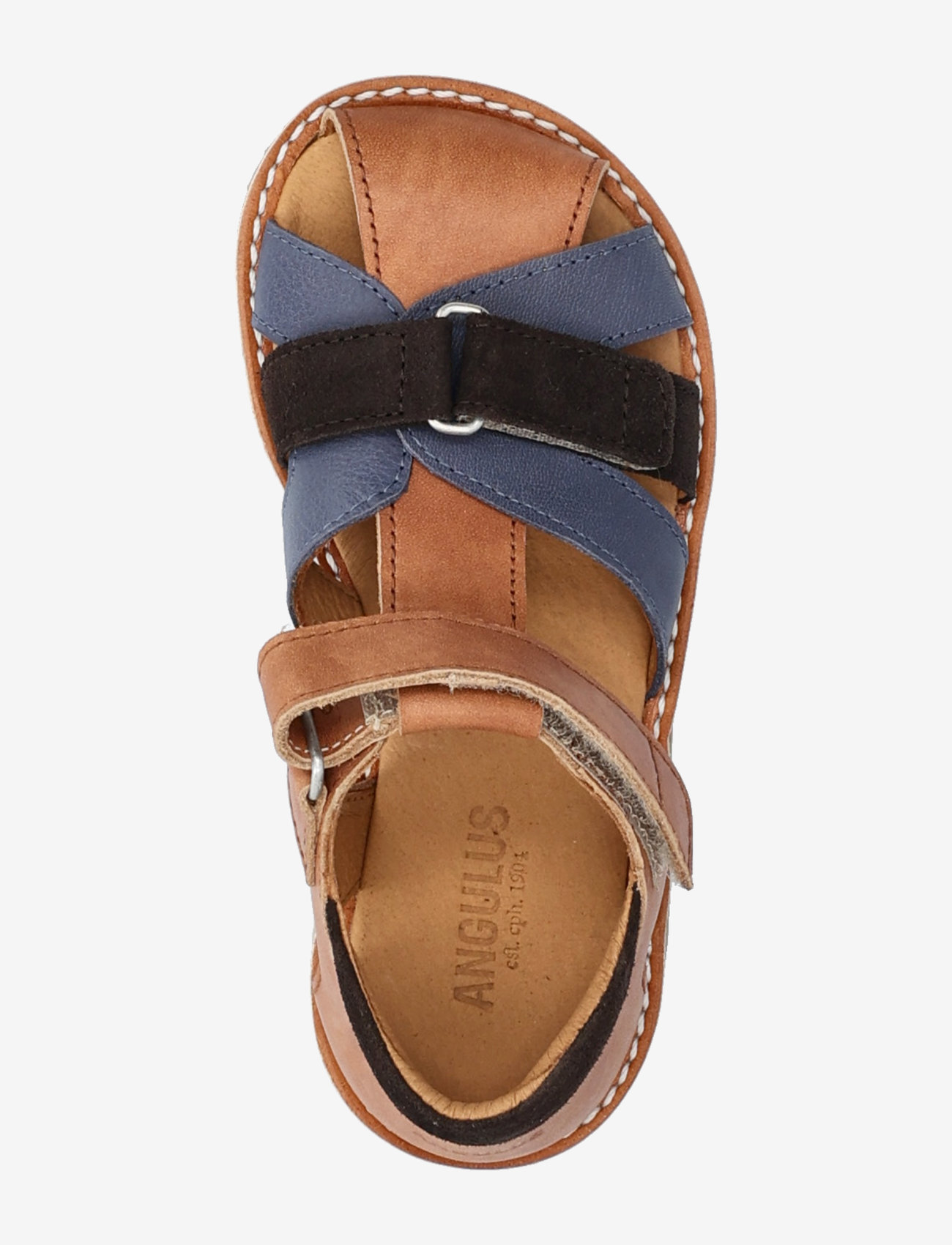ANGULUS - Sandals - flat  - closed toe - sünnipäevakingitused - 1789/2722/1779 tan/indigo/dark - 3