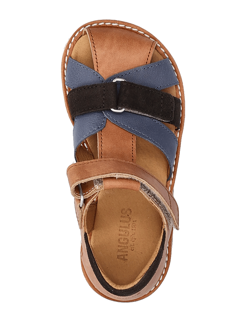 ANGULUS - Sandals - flat - closed toe - skor - 1789/2722/1779 tan/indigo/dark - 3