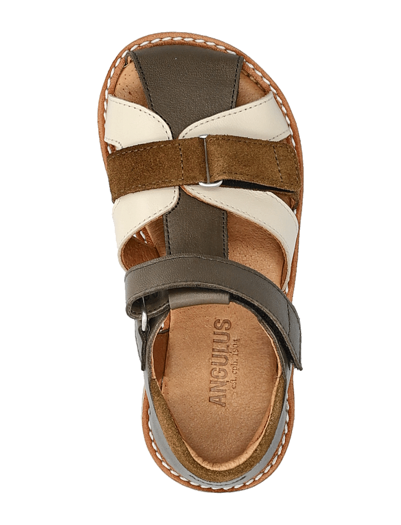 ANGULUS - Sandals - flat - closed toe - kengät - 3207/1502/2209 forrest/butterm - 3