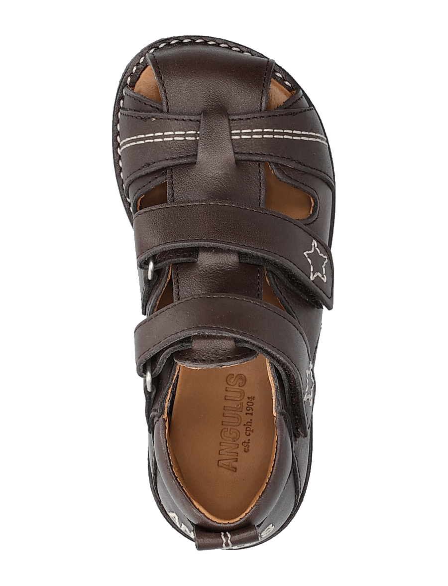 ANGULUS - Sandals - flat - closed toe - skór - 3200 dark brown - 4