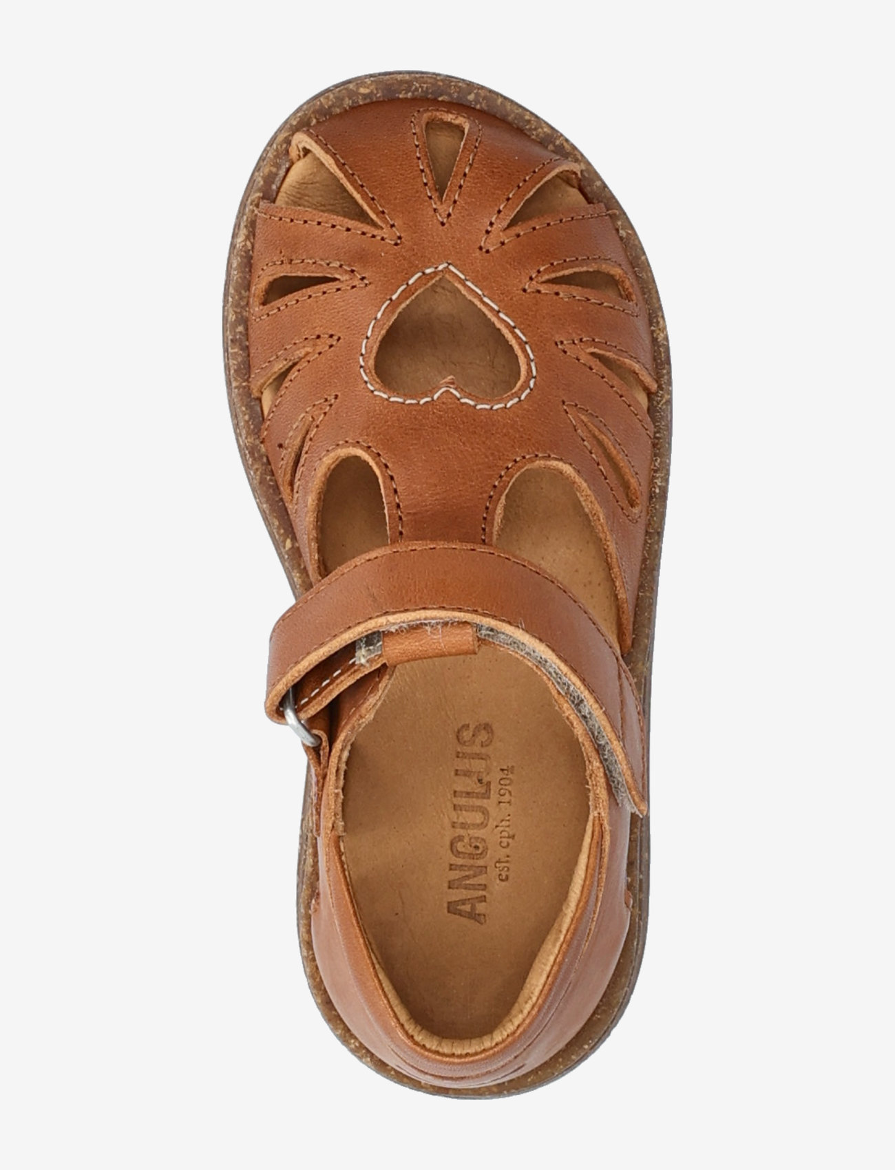 ANGULUS - Sandals - flat  - closed toe - sünnipäevakingitused - 1545 cognac - 3