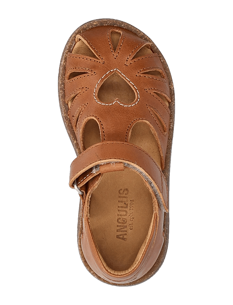 ANGULUS - Sandals - flat - closed toe - kingad - 1545 cognac - 3