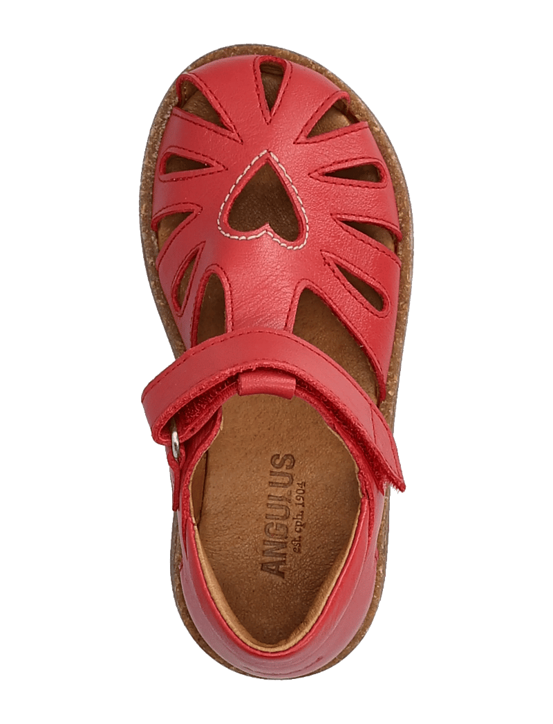ANGULUS - Sandals - flat - closed toe - kingad - 1731 red - 3