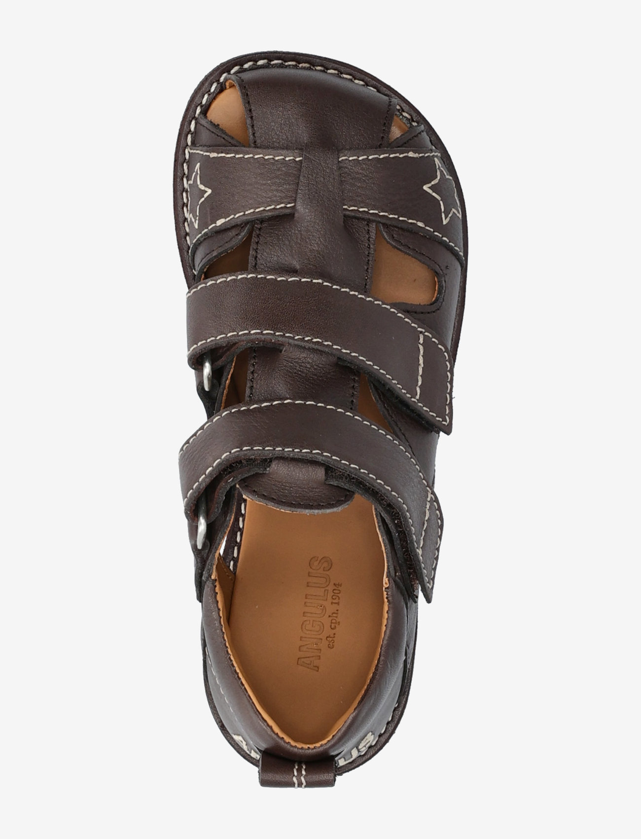 ANGULUS - Sandals - flat  - closed toe - shoes - 3200 dark brown - 3