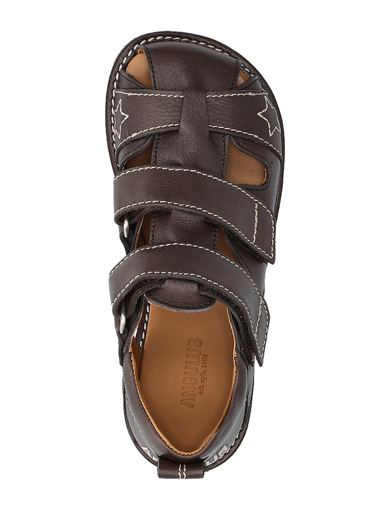 ANGULUS - Sandals - flat - closed toe - shoes - 3200 dark brown - 3