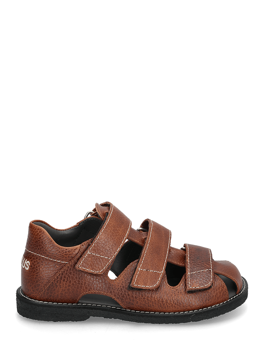 ANGULUS - Sandals - flat - closed toe - shoes - 2509 cognac - 1