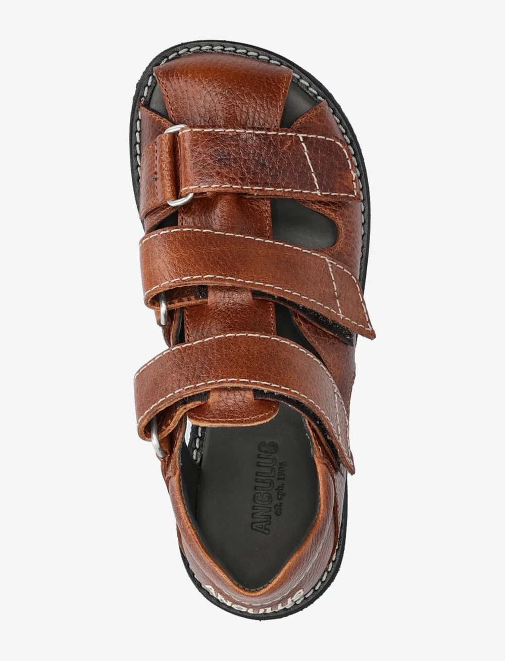 ANGULUS - Sandals - flat - closed toe - kingad - 2509 cognac - 3