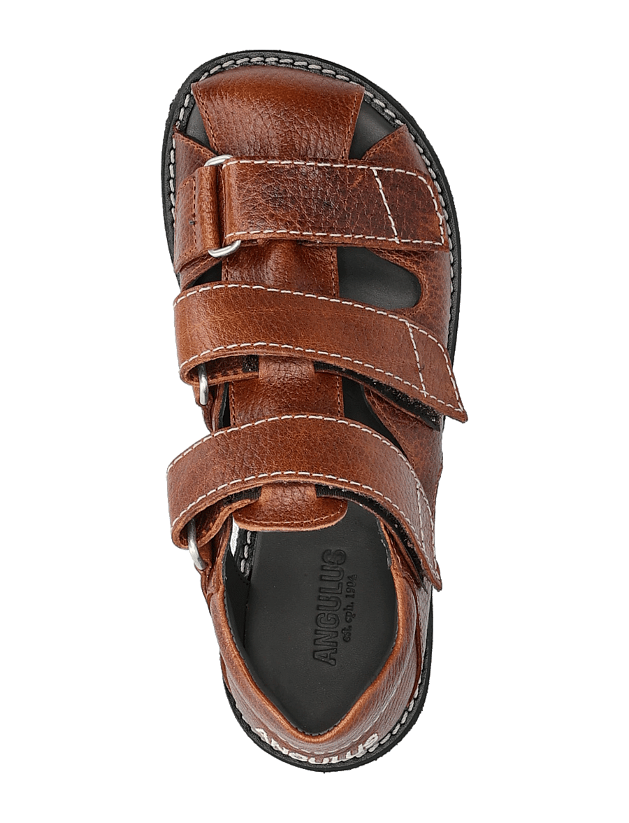 ANGULUS - Sandals - flat - closed toe - shoes - 2509 cognac - 3