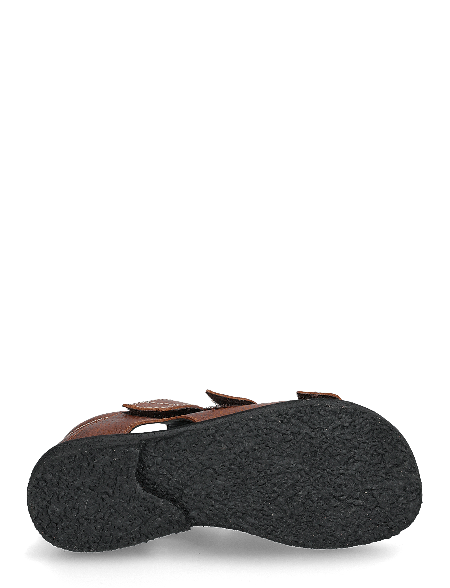 ANGULUS - Sandals - flat - closed toe - shoes - 2509 cognac - 4