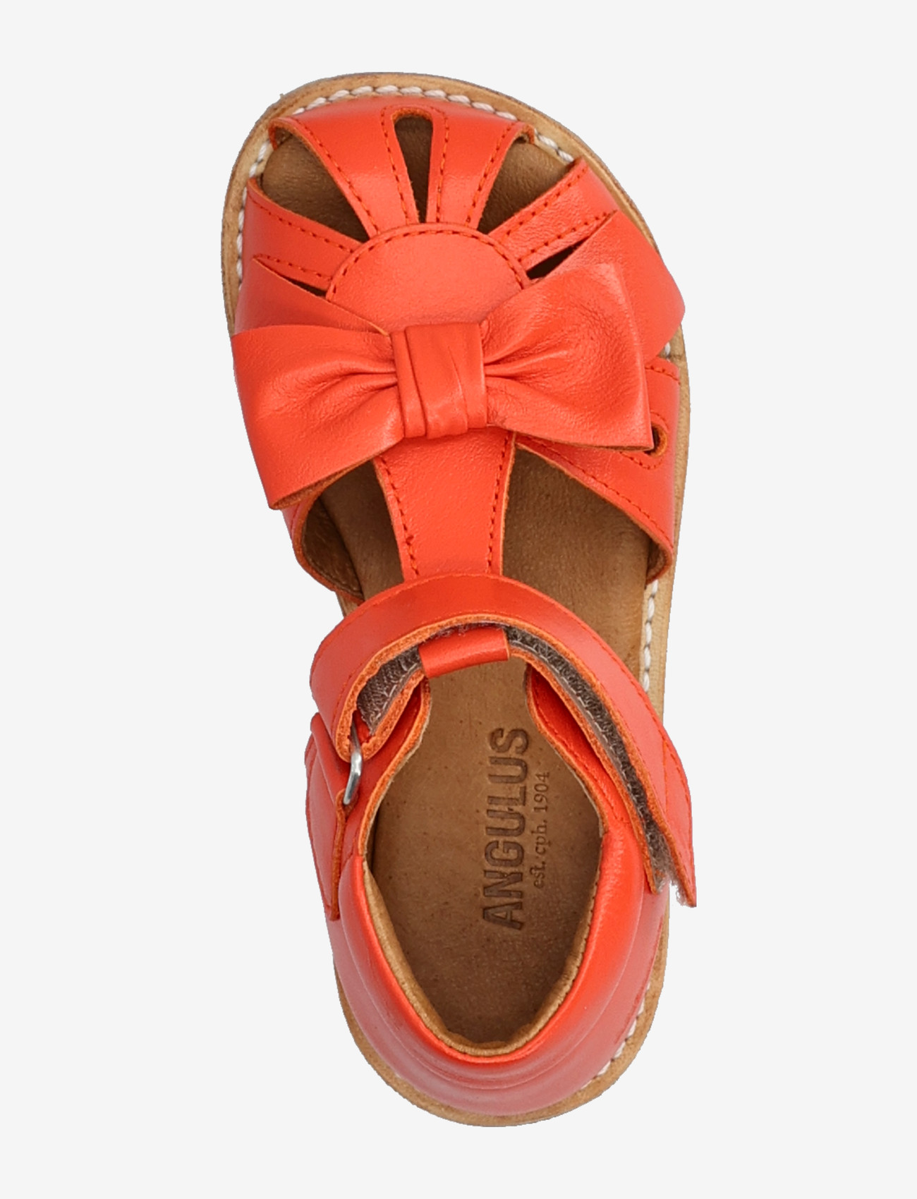 ANGULUS - Sandals - flat  - closed toe - schuhe - 4074 coral - 3