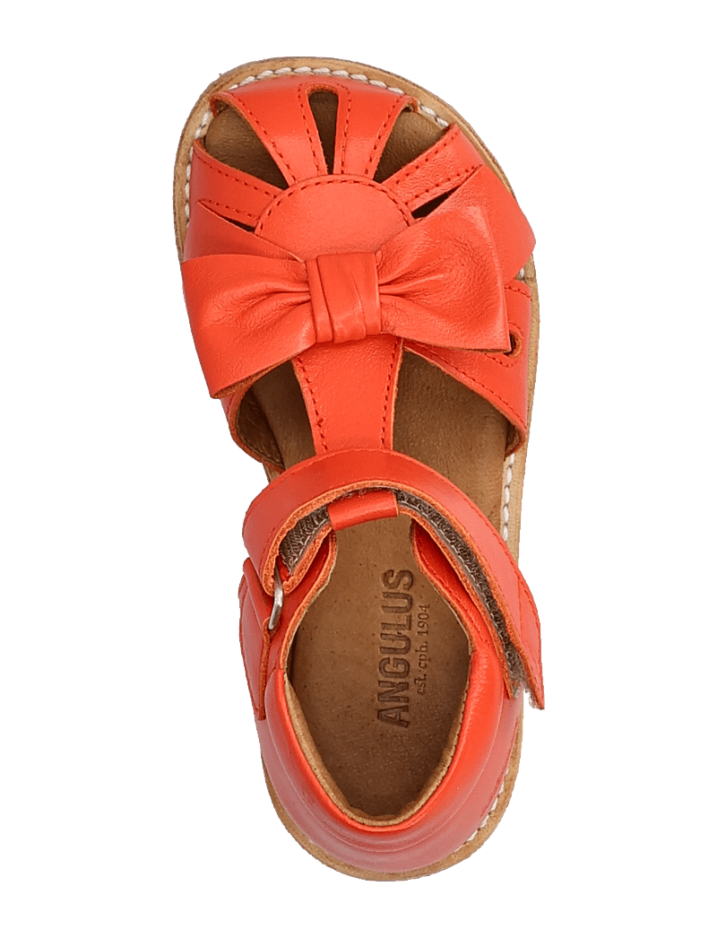ANGULUS - Sandals - flat - closed toe - schuhe - 4074 coral - 3