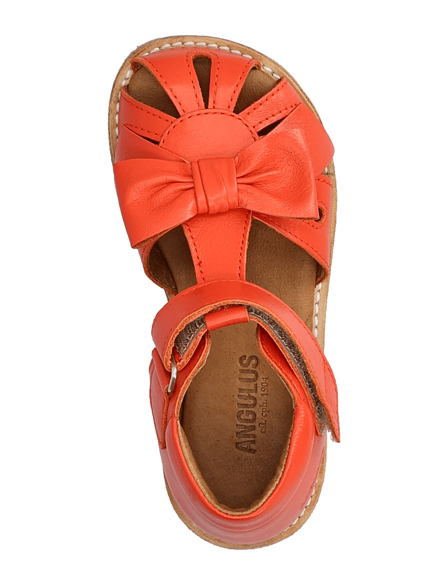 ANGULUS - Sandals - flat - closed toe - skor - 4074 coral - 3