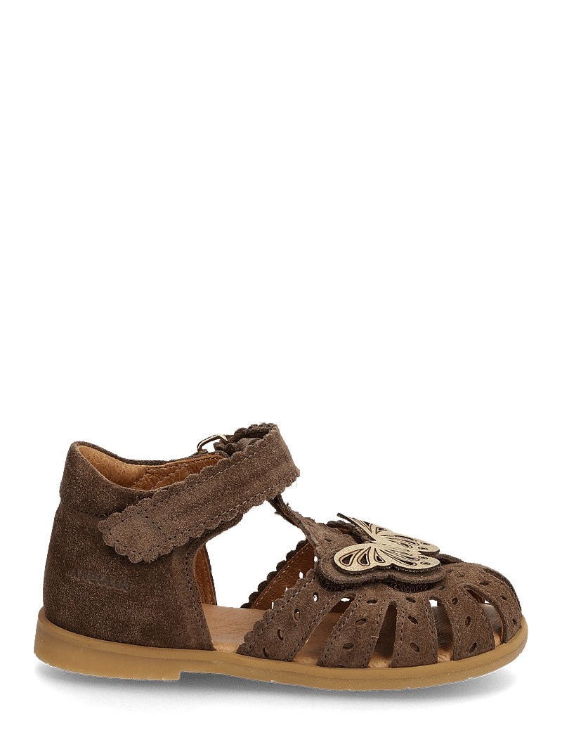 ANGULUS - Sandals - flat - closed toe - kingad - 1780/3643 dark taupe/gold shin - 1
