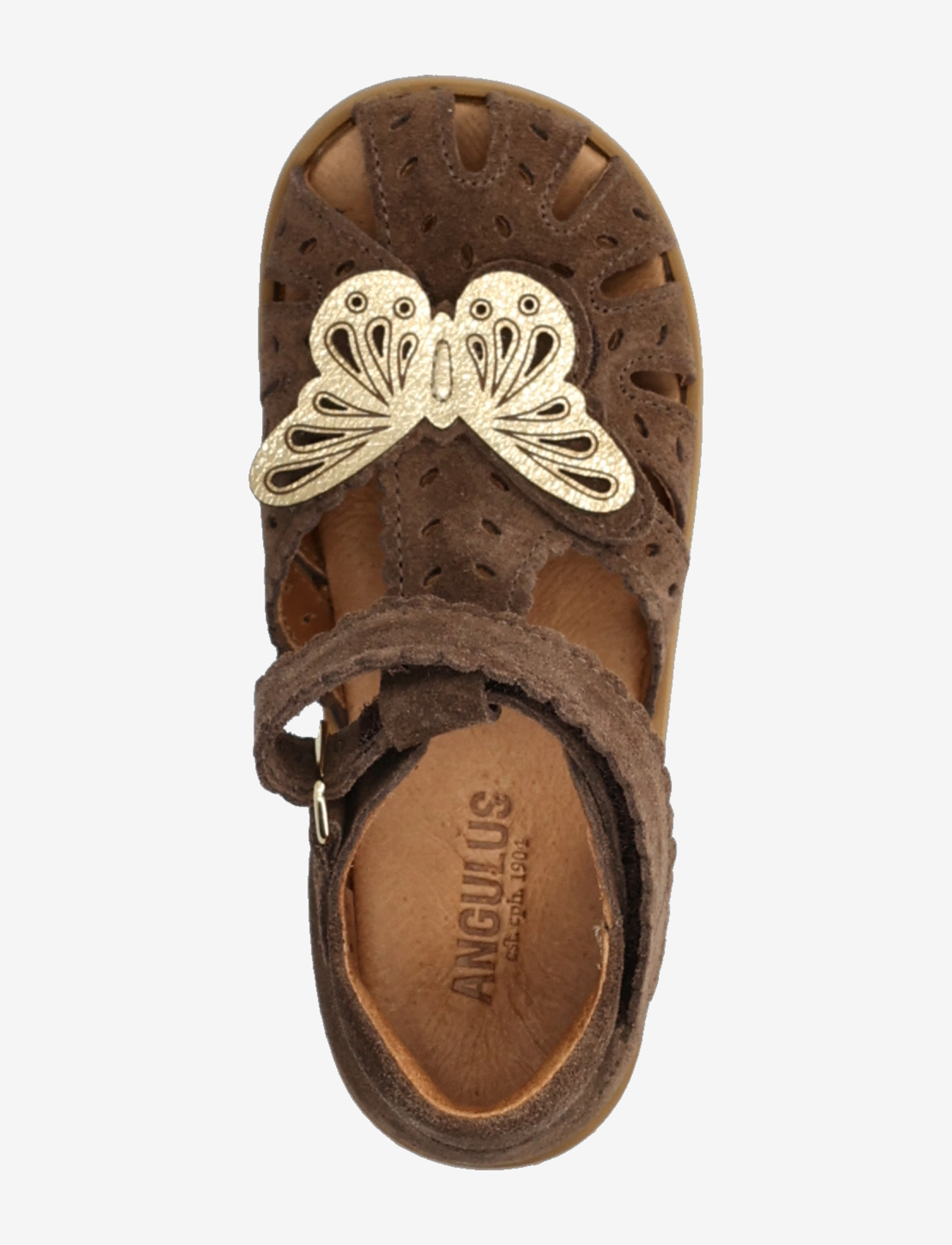ANGULUS - Sandals - flat  - closed toe - kingad - 1780/3643 dark taupe/gold shin - 3