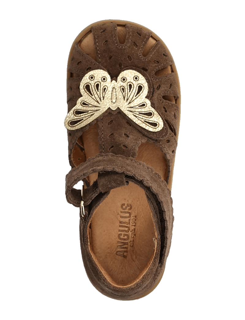 ANGULUS - Sandals - flat - closed toe - kingad - 1780/3643 dark taupe/gold shin - 3