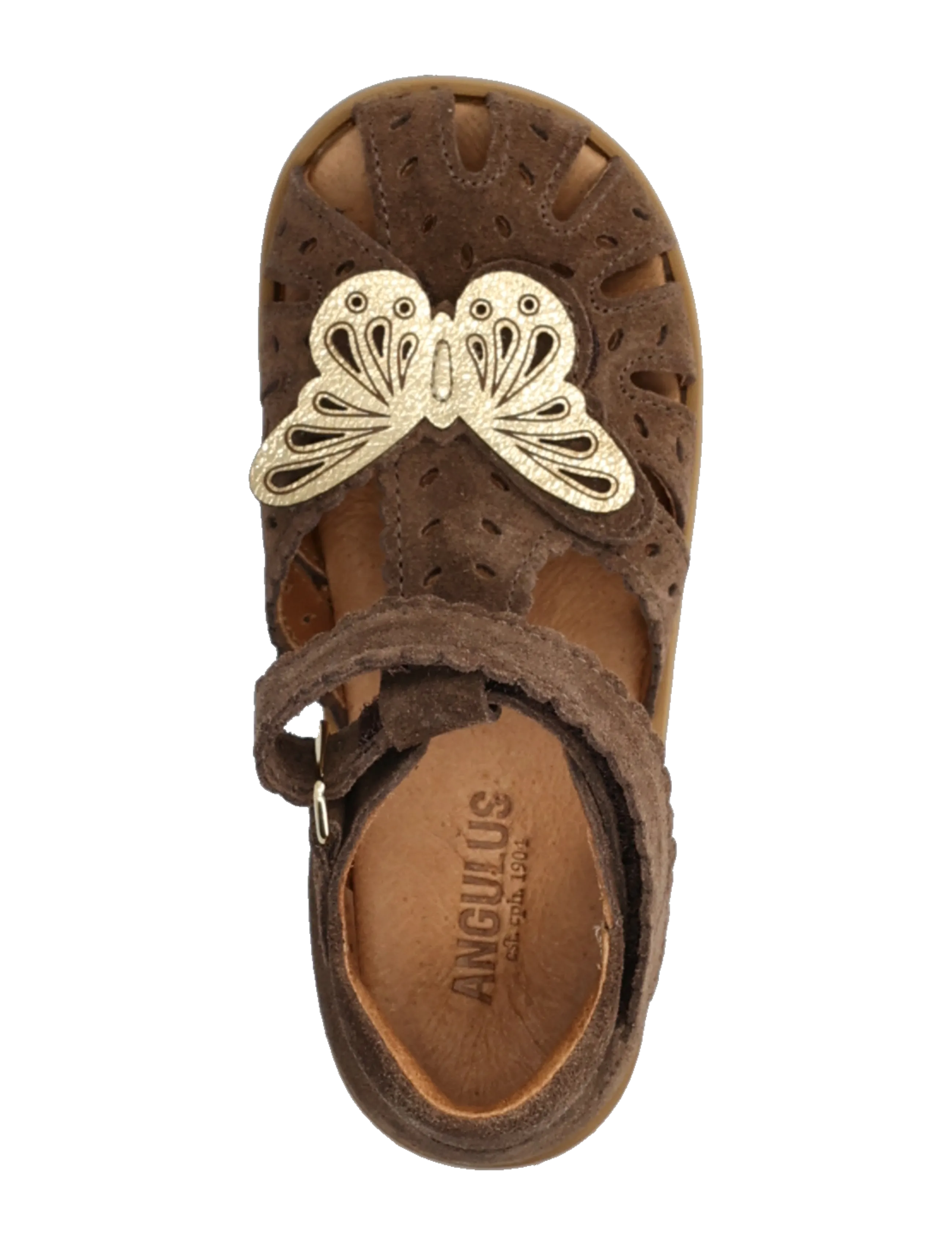 ANGULUS - Sandals - flat  - closed toe - sko - 1780/3643 dark taupe/gold shin - 3