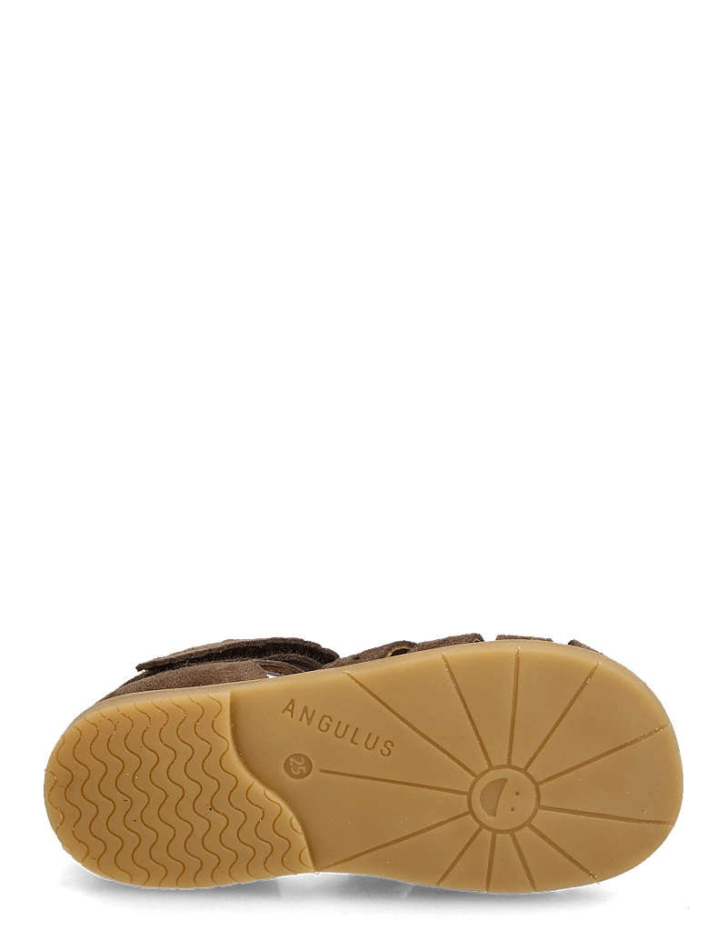ANGULUS - Sandals - flat - closed toe - kingad - 1780/3643 dark taupe/gold shin - 4