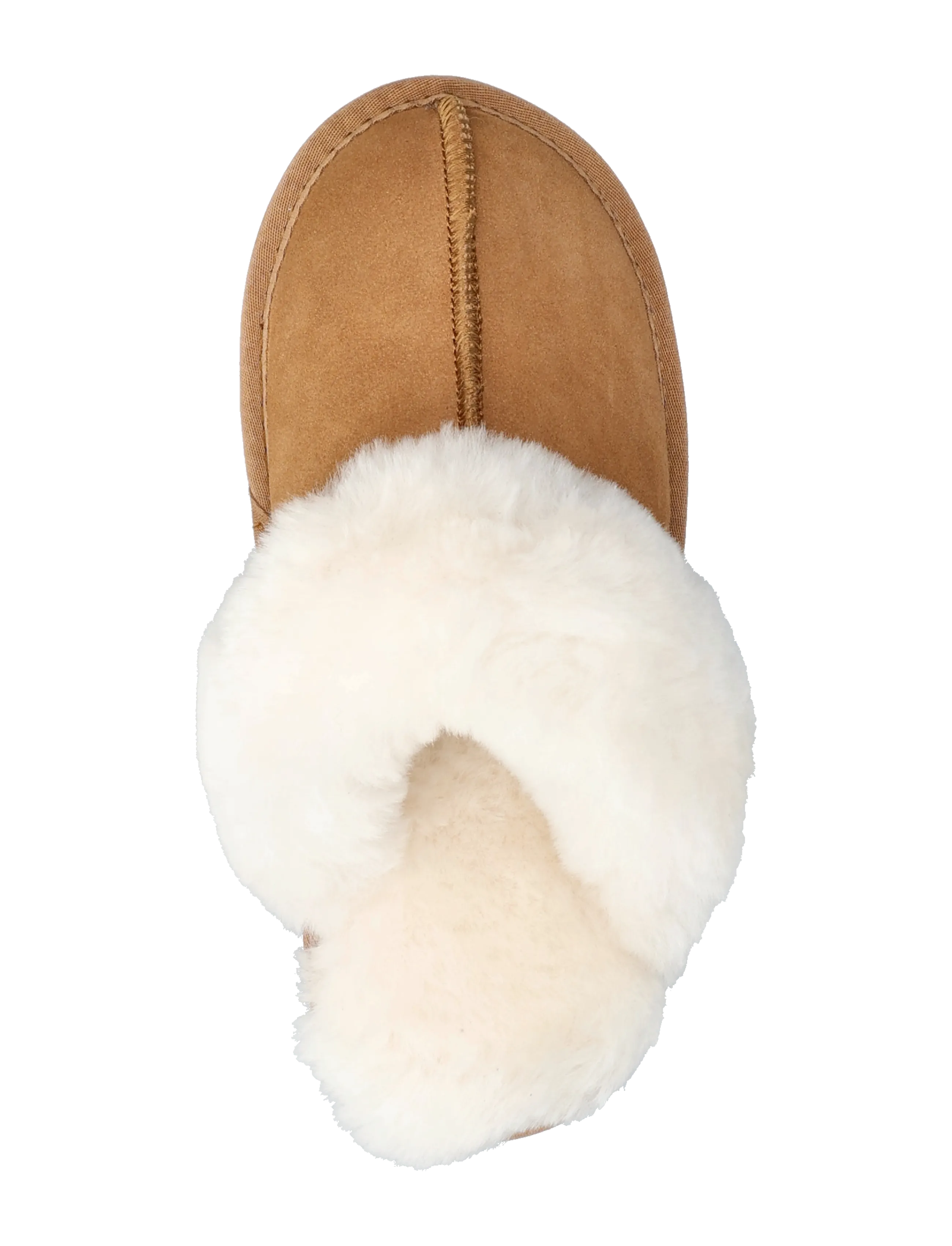 ANGULUS - Indoor - sussid - 0037 sand lambswool - 3