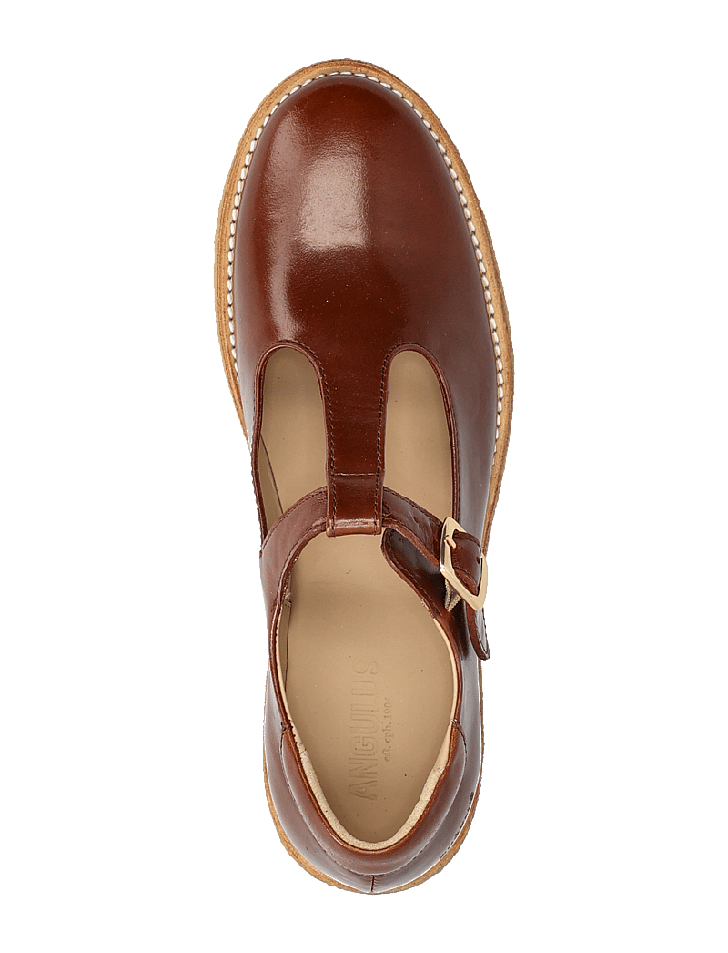 ANGULUS - Shoes - flat - with buckle - særlige begivenheder - 1837 brown - 3