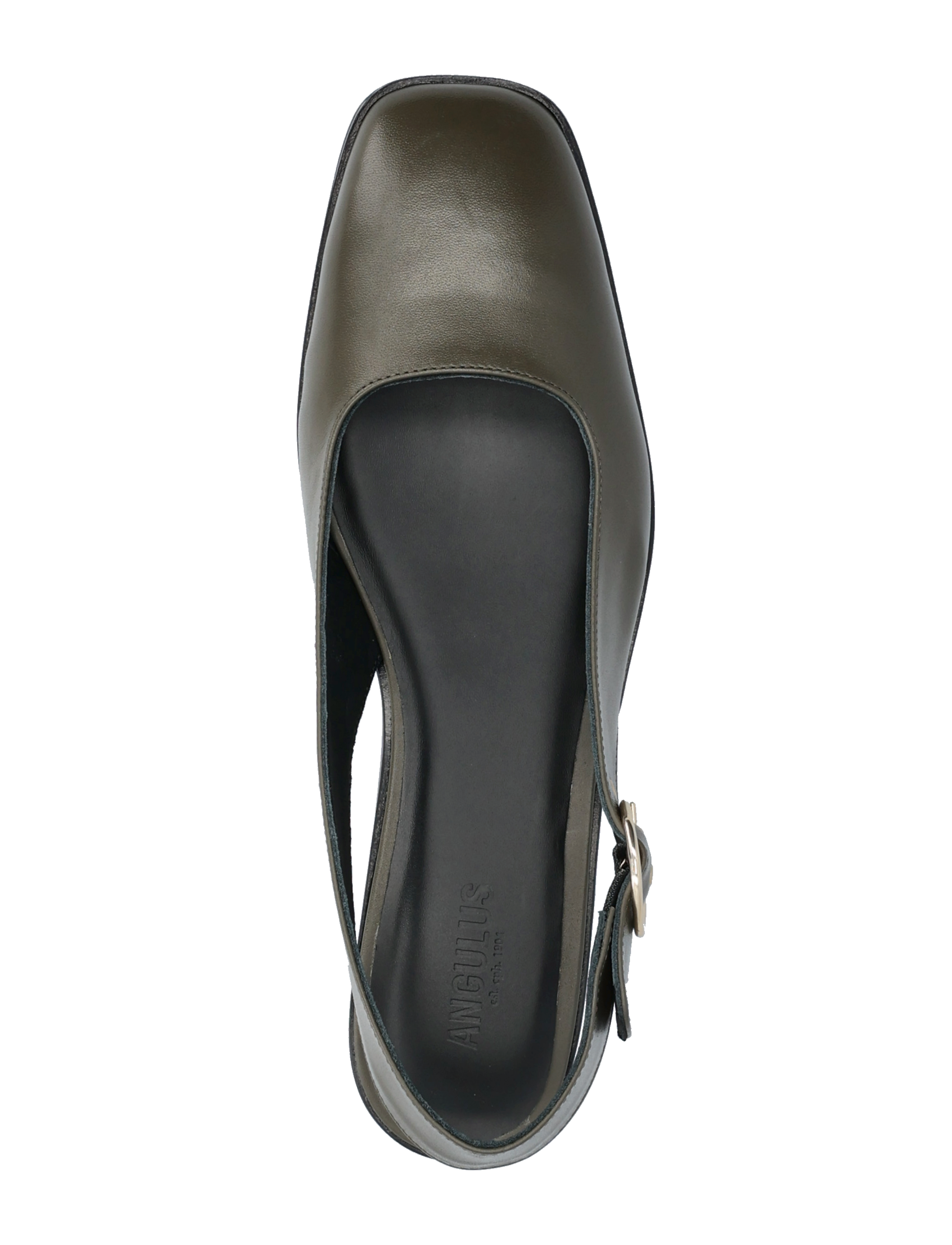 ANGULUS - Ballerina - 1446 olive - 3