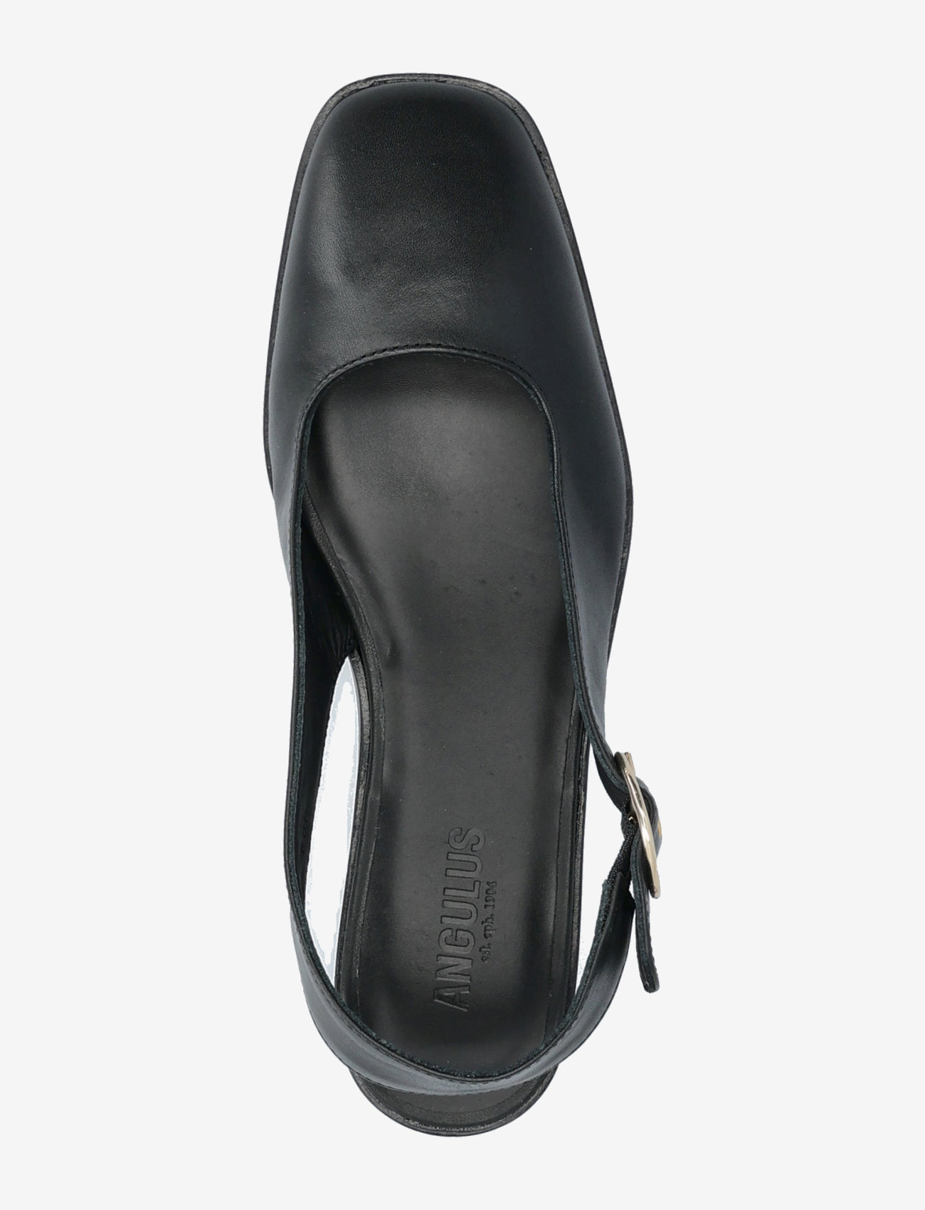 ANGULUS - Ballerina - naised - 1604 black - 3