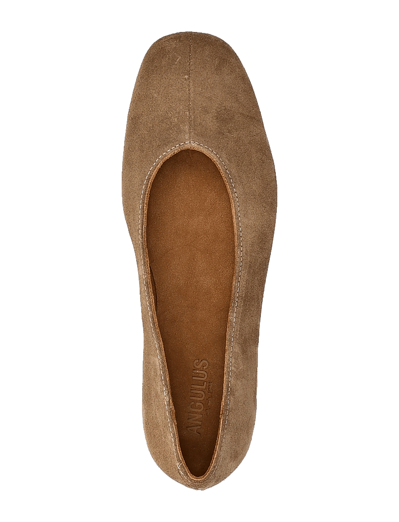 ANGULUS - Ballerina - balerinos - 4638 dessert - 4