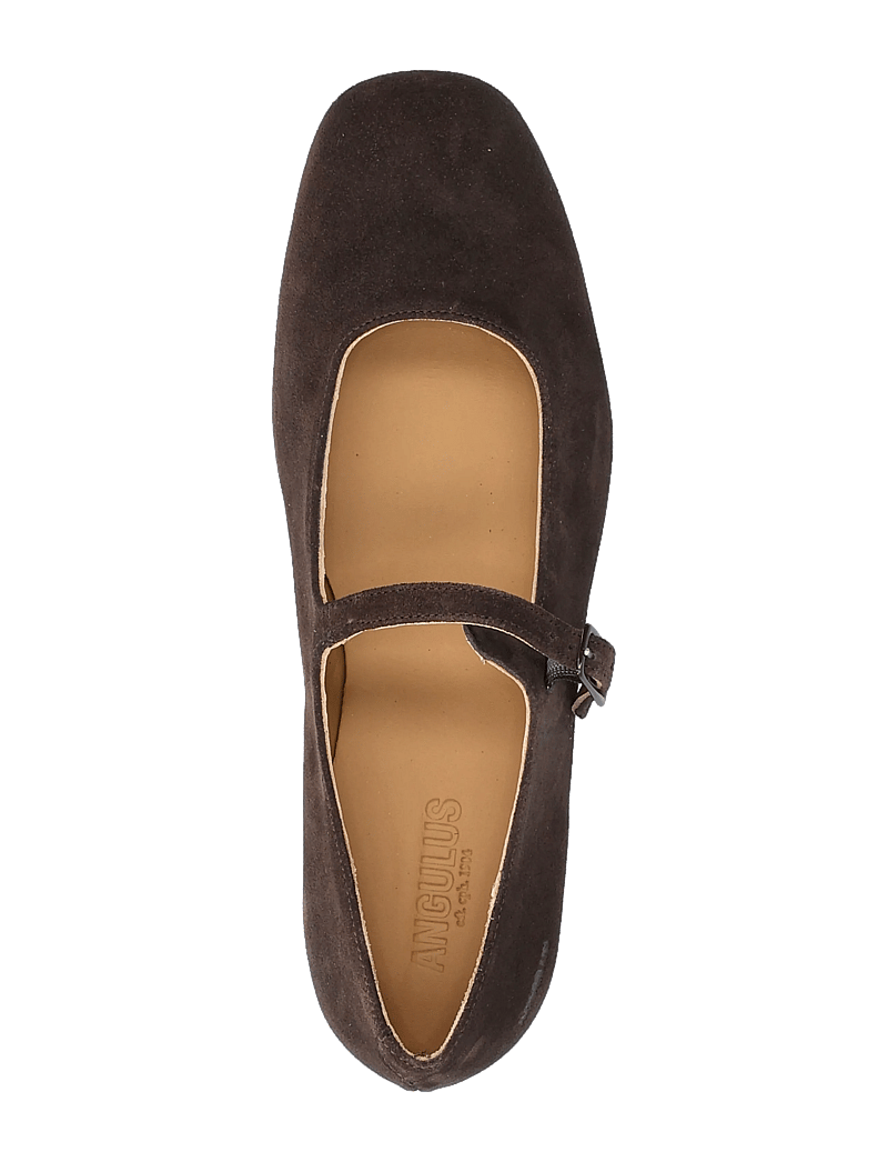 ANGULUS - Ballerina - besondere anlässe - 2193 dark brown - 3