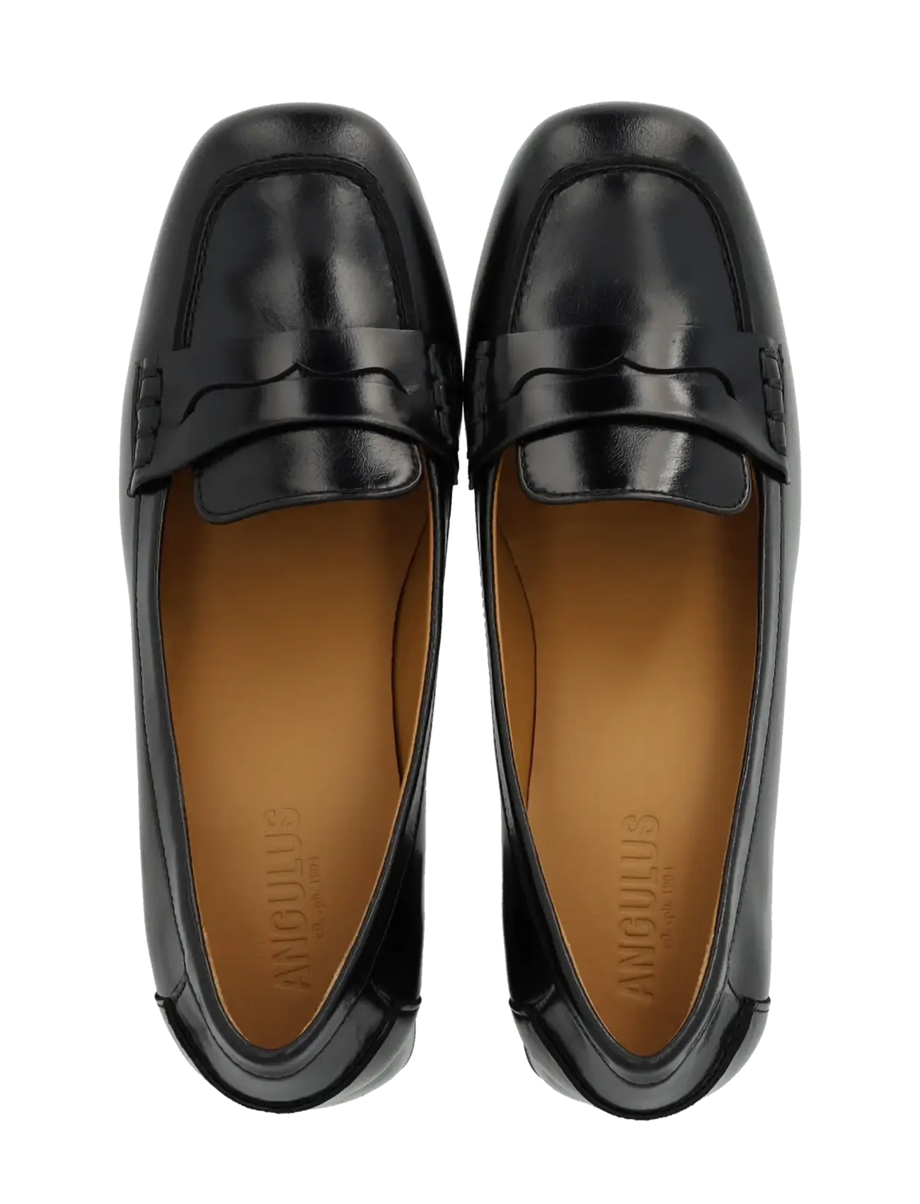 ANGULUS - Pump - mode trends - 1835 black - 3